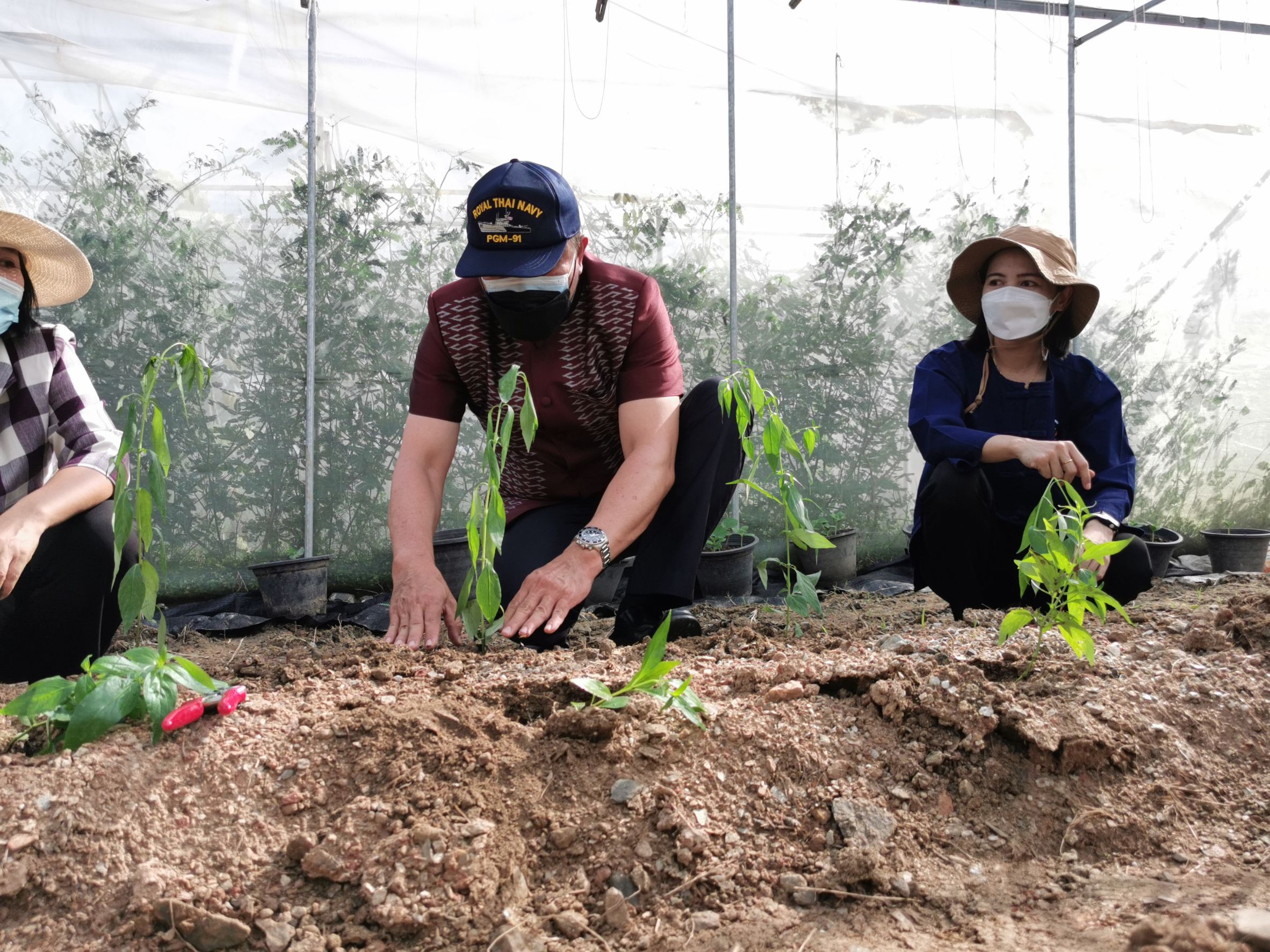 พัฒนาชุมชนจังหวัดฉะเชิงเทรา Kick Off โครงการเฉลิมพระเกียรติเนื่องในวันเฉลิมพระชนมพรรษา  สมเด็จพระนางเจ้าสิริกิติ์ พระบรมราชินีนาถ พระบรมราชชนนีพันปีหลวง : กิจกรรม พช.แปดริ้วรวมใจ  ร่วมปลูกสมุนไพร ต้านภัยโควิด -19  ด้วยพืชสมุนไพร