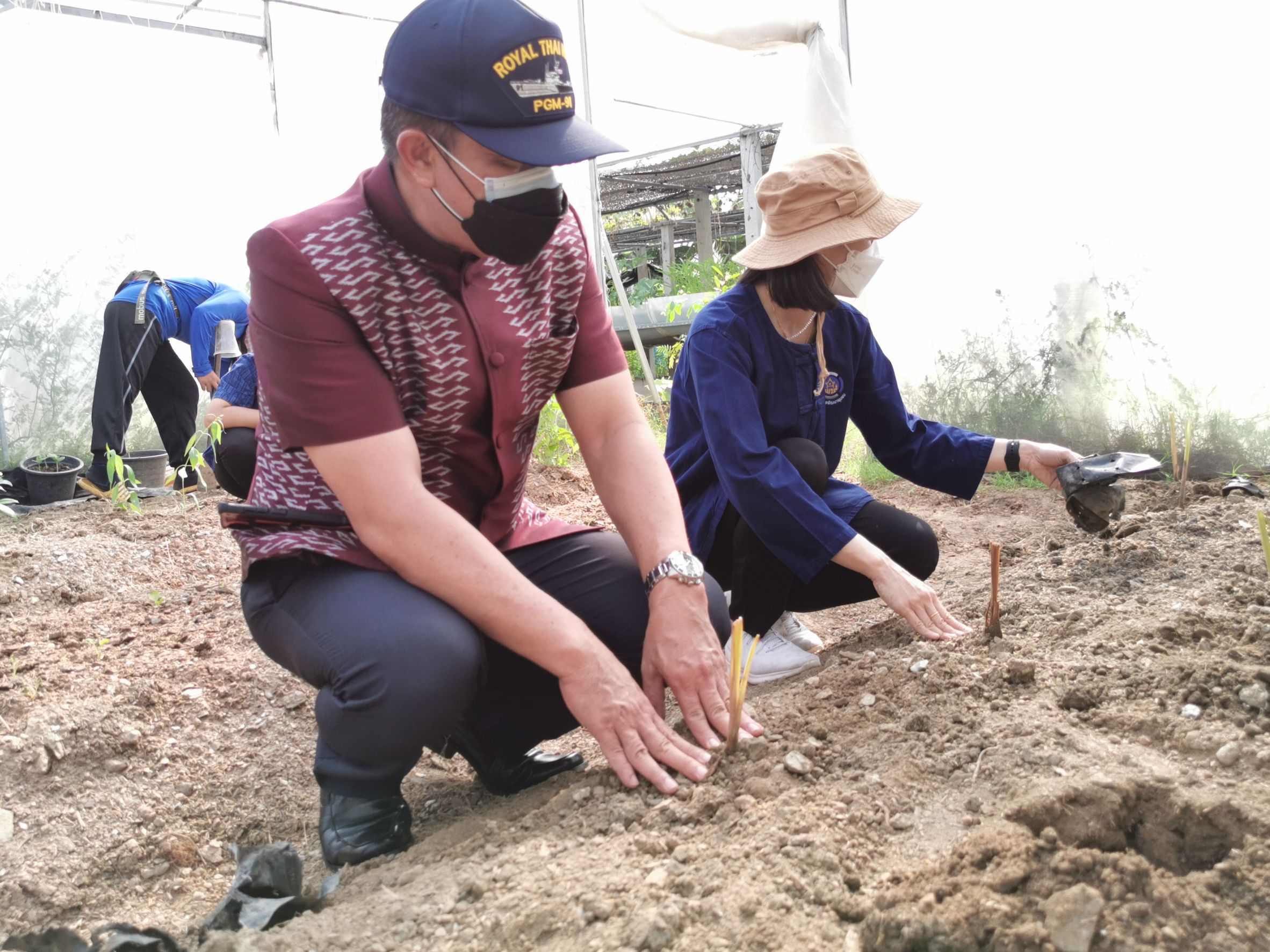 พัฒนาชุมชนจังหวัดฉะเชิงเทรา Kick Off โครงการเฉลิมพระเกียรติเนื่องในวันเฉลิมพระชนมพรรษา  สมเด็จพระนางเจ้าสิริกิติ์ พระบรมราชินีนาถ พระบรมราชชนนีพันปีหลวง : กิจกรรม พช.แปดริ้วรวมใจ  ร่วมปลูกสมุนไพร ต้านภัยโควิด -19  ด้วยพืชสมุนไพร