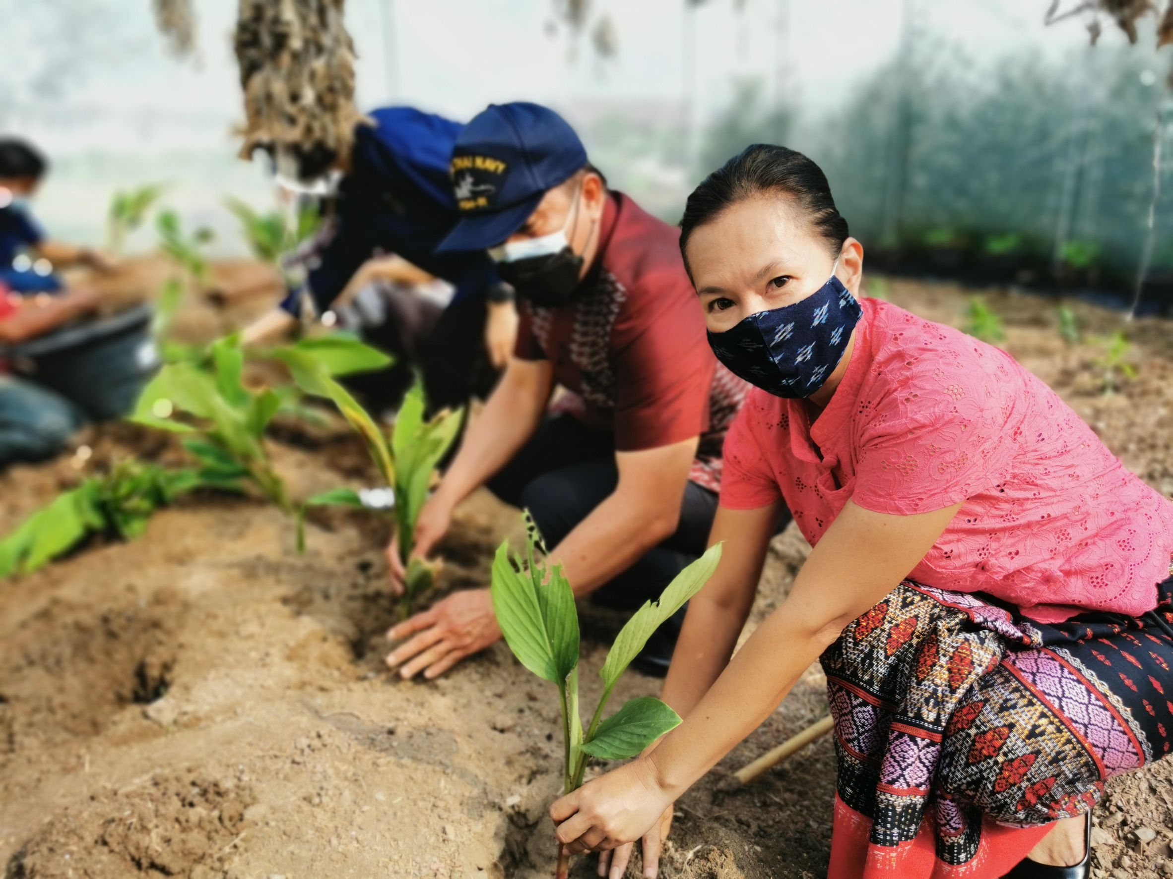 พัฒนาชุมชนจังหวัดฉะเชิงเทรา Kick Off โครงการเฉลิมพระเกียรติเนื่องในวันเฉลิมพระชนมพรรษา  สมเด็จพระนางเจ้าสิริกิติ์ พระบรมราชินีนาถ พระบรมราชชนนีพันปีหลวง : กิจกรรม พช.แปดริ้วรวมใจ  ร่วมปลูกสมุนไพร ต้านภัยโควิด -19  ด้วยพืชสมุนไพร