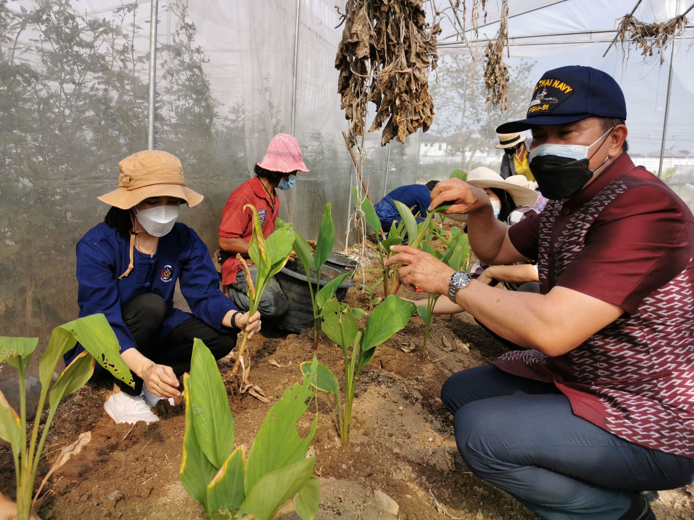 พัฒนาชุมชนจังหวัดฉะเชิงเทรา Kick Off โครงการเฉลิมพระเกียรติเนื่องในวันเฉลิมพระชนมพรรษา  สมเด็จพระนางเจ้าสิริกิติ์ พระบรมราชินีนาถ พระบรมราชชนนีพันปีหลวง : กิจกรรม พช.แปดริ้วรวมใจ  ร่วมปลูกสมุนไพร ต้านภัยโควิด -19  ด้วยพืชสมุนไพร