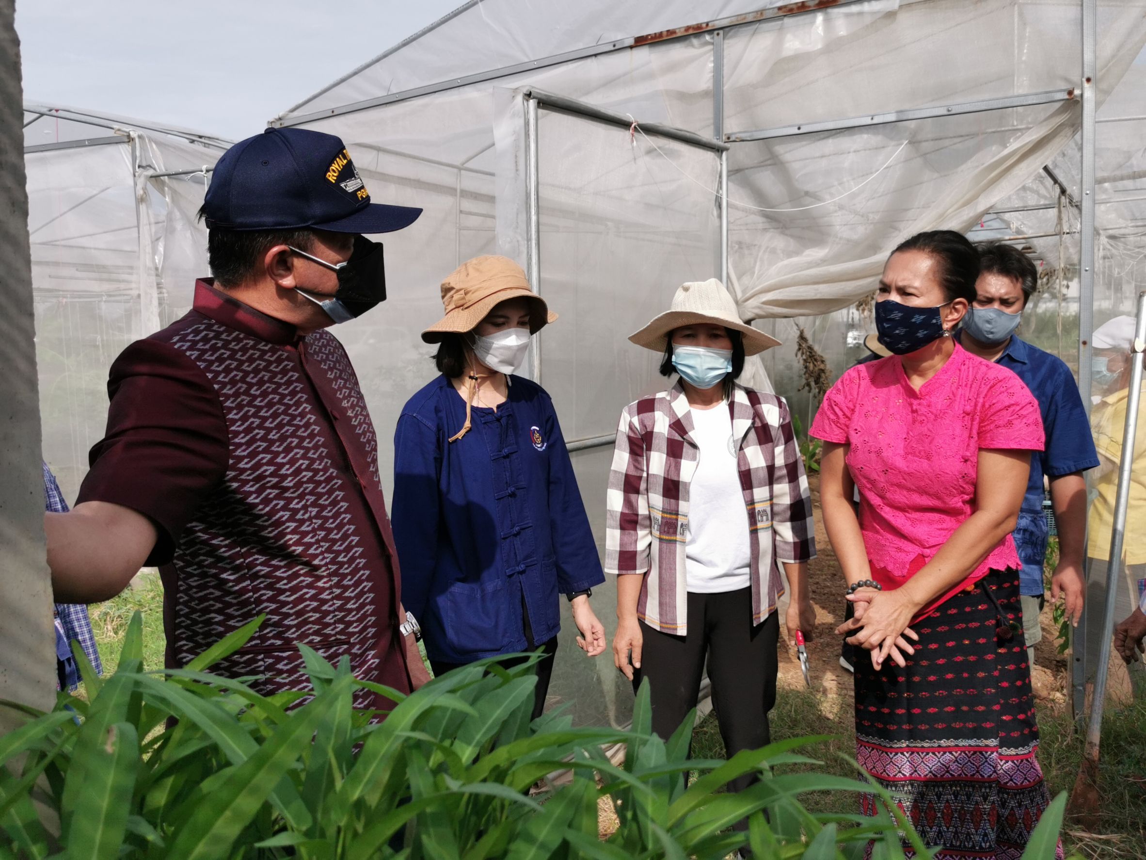 พัฒนาชุมชนจังหวัดฉะเชิงเทรา Kick Off โครงการเฉลิมพระเกียรติเนื่องในวันเฉลิมพระชนมพรรษา  สมเด็จพระนางเจ้าสิริกิติ์ พระบรมราชินีนาถ พระบรมราชชนนีพันปีหลวง : กิจกรรม พช.แปดริ้วรวมใจ  ร่วมปลูกสมุนไพร ต้านภัยโควิด -19  ด้วยพืชสมุนไพร