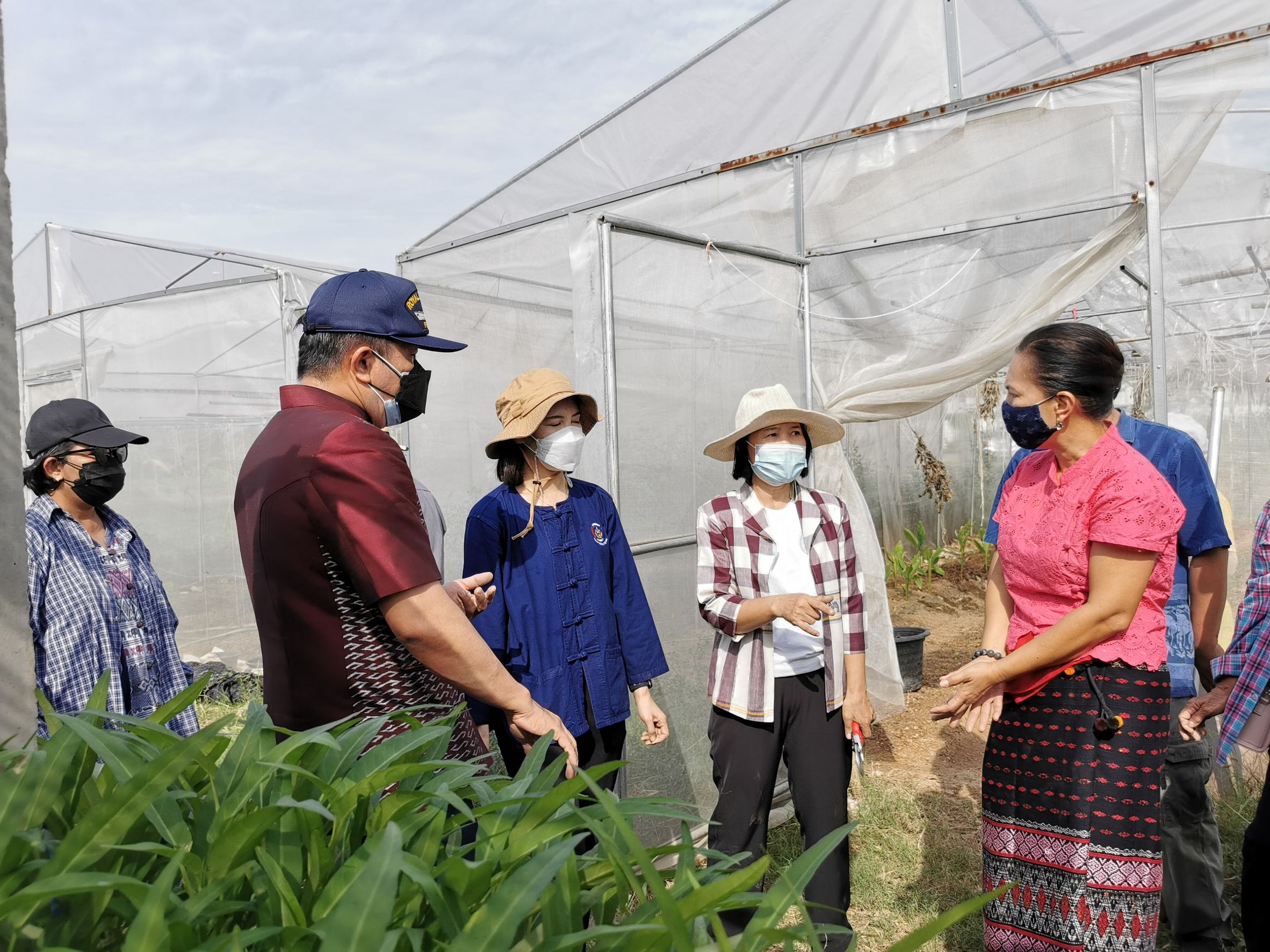 พัฒนาชุมชนจังหวัดฉะเชิงเทรา Kick Off โครงการเฉลิมพระเกียรติเนื่องในวันเฉลิมพระชนมพรรษา  สมเด็จพระนางเจ้าสิริกิติ์ พระบรมราชินีนาถ พระบรมราชชนนีพันปีหลวง : กิจกรรม พช.แปดริ้วรวมใจ  ร่วมปลูกสมุนไพร ต้านภัยโควิด -19  ด้วยพืชสมุนไพร
