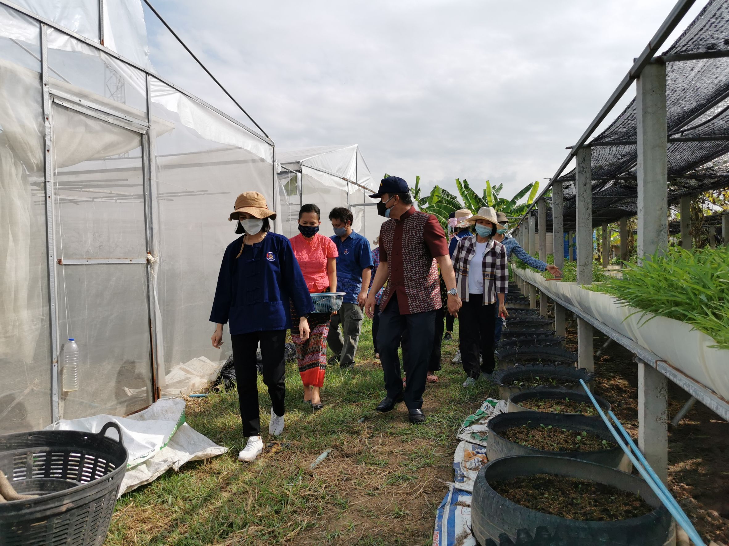 พัฒนาชุมชนจังหวัดฉะเชิงเทรา Kick Off โครงการเฉลิมพระเกียรติเนื่องในวันเฉลิมพระชนมพรรษา  สมเด็จพระนางเจ้าสิริกิติ์ พระบรมราชินีนาถ พระบรมราชชนนีพันปีหลวง : กิจกรรม พช.แปดริ้วรวมใจ  ร่วมปลูกสมุนไพร ต้านภัยโควิด -19  ด้วยพืชสมุนไพร