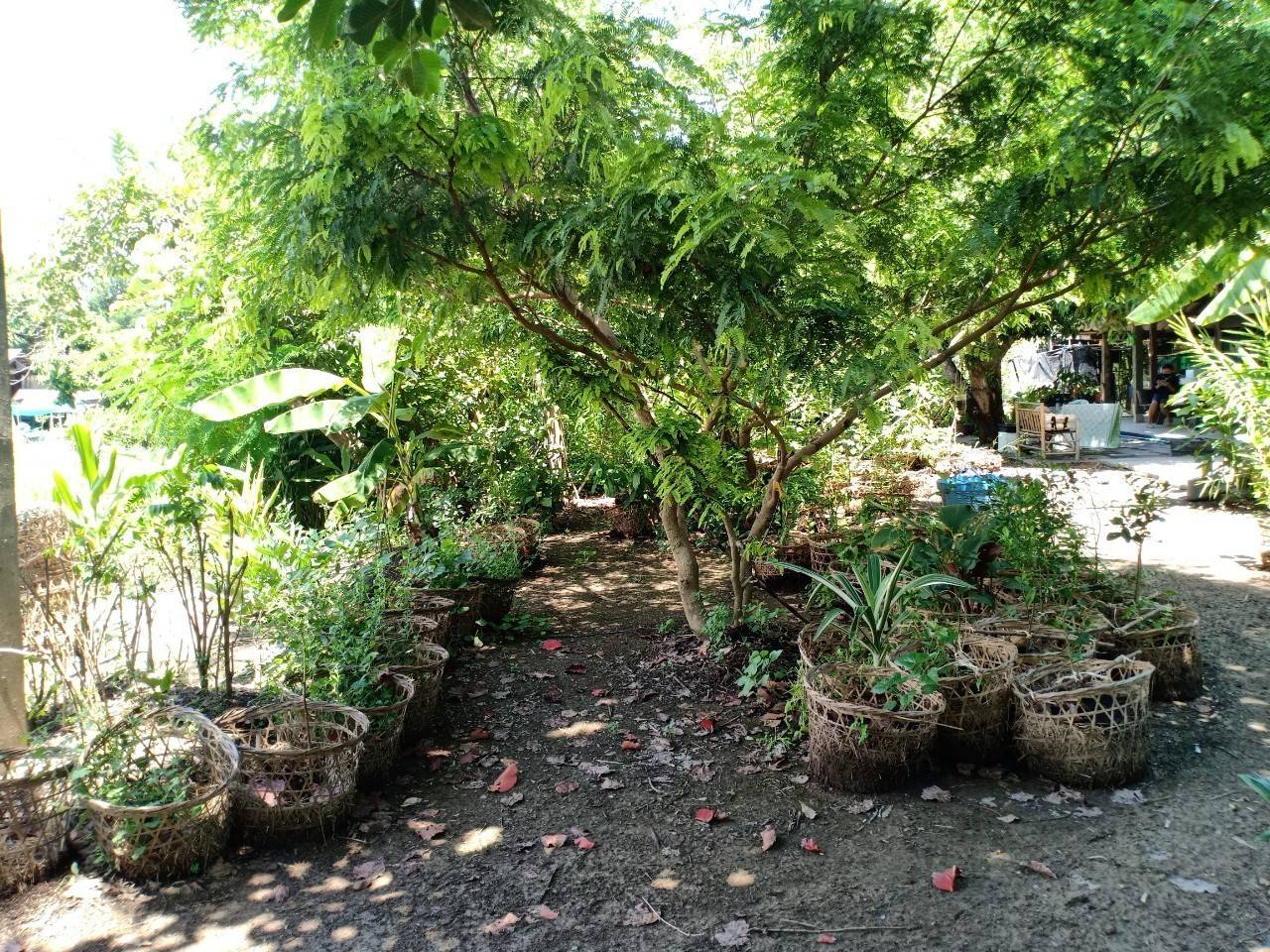 พัฒนาชุมชนจังหวัดฉะเชิงเทรา ประกวดและเผยแพร่ผลการดำเนินงานเครือข่ายองค์องความรู้ (Knowledge-Based OTOP) จังหวัด ประจำปี 2564 ภาคกลาง 18 จังหวัด ผ่านระบบออนไลน์ (Zoom Cloud Meeting)