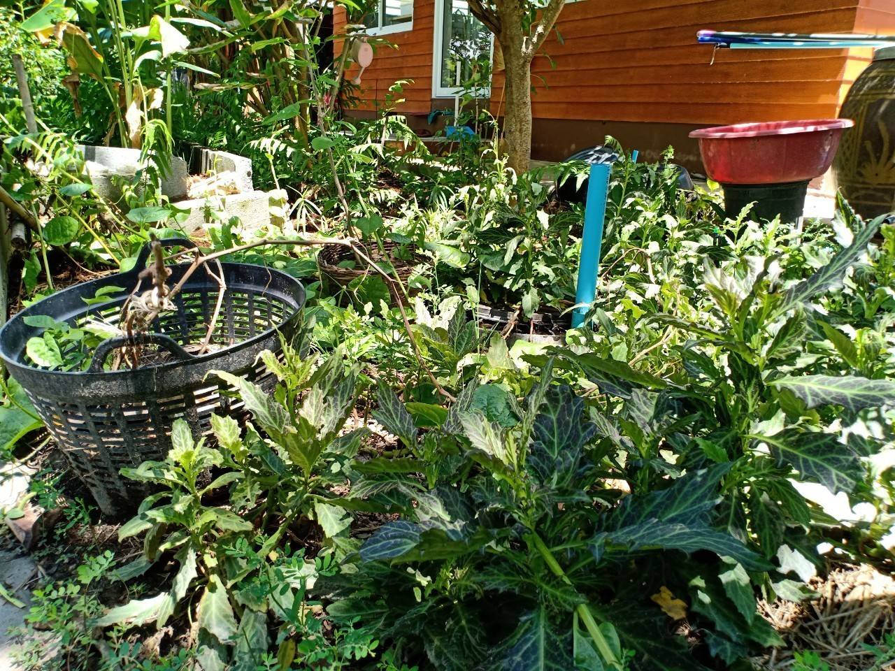 พัฒนาชุมชนจังหวัดฉะเชิงเทรา ประกวดและเผยแพร่ผลการดำเนินงานเครือข่ายองค์องความรู้ (Knowledge-Based OTOP) จังหวัด ประจำปี 2564 ภาคกลาง 18 จังหวัด ผ่านระบบออนไลน์ (Zoom Cloud Meeting)