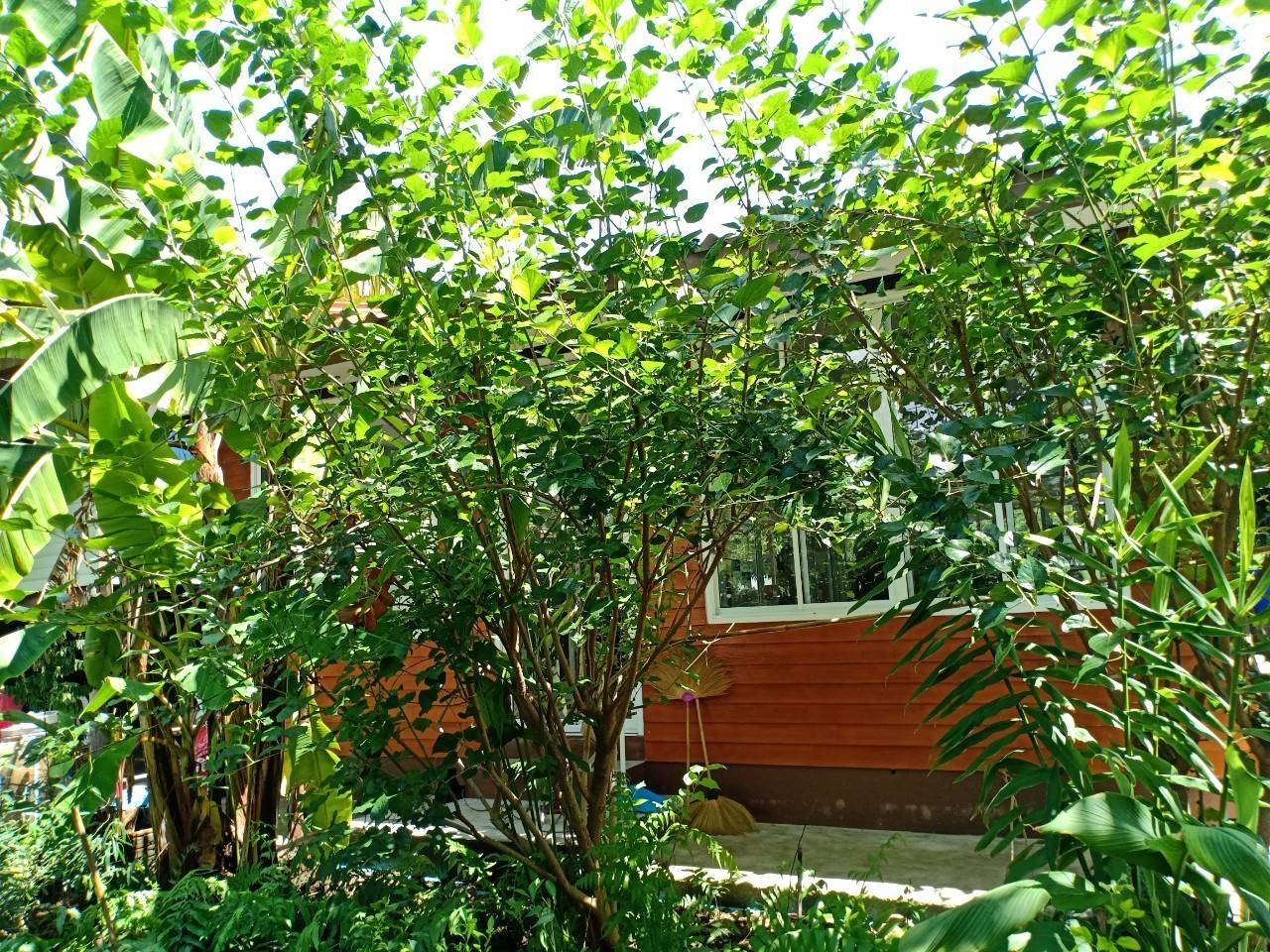 พัฒนาชุมชนจังหวัดฉะเชิงเทรา ประกวดและเผยแพร่ผลการดำเนินงานเครือข่ายองค์องความรู้ (Knowledge-Based OTOP) จังหวัด ประจำปี 2564 ภาคกลาง 18 จังหวัด ผ่านระบบออนไลน์ (Zoom Cloud Meeting)