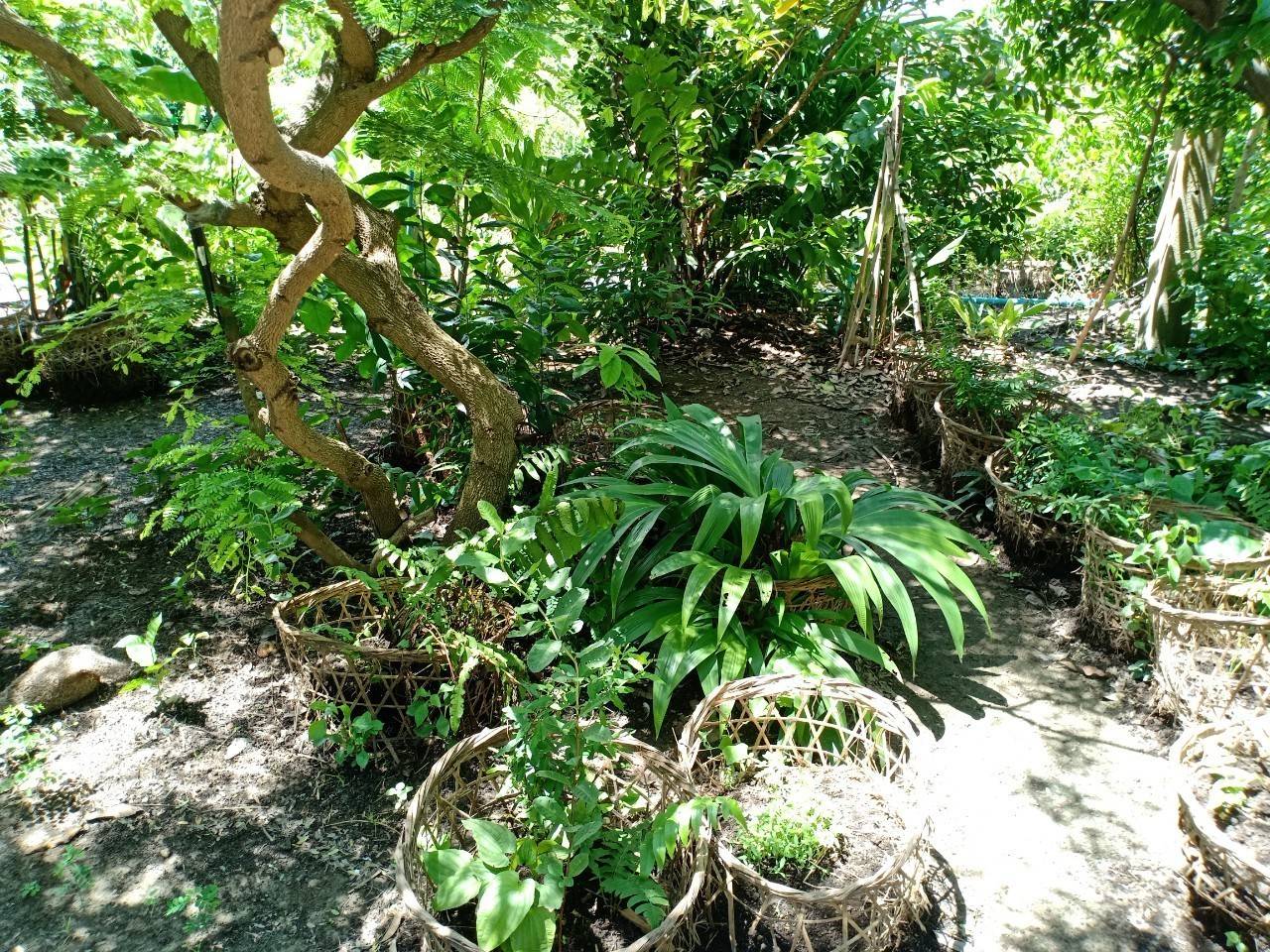 พัฒนาชุมชนจังหวัดฉะเชิงเทรา ประกวดและเผยแพร่ผลการดำเนินงานเครือข่ายองค์องความรู้ (Knowledge-Based OTOP) จังหวัด ประจำปี 2564 ภาคกลาง 18 จังหวัด ผ่านระบบออนไลน์ (Zoom Cloud Meeting)