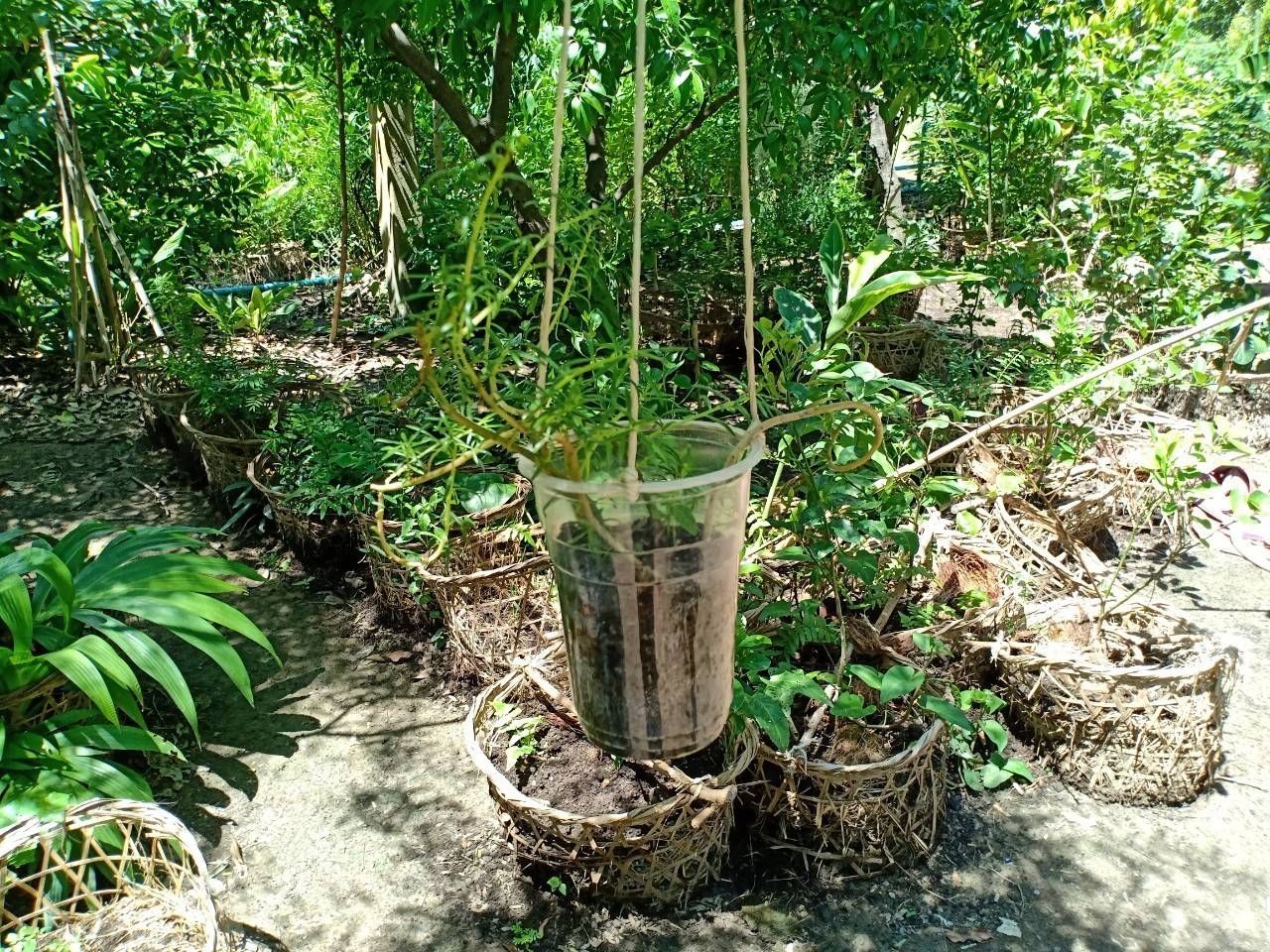 พัฒนาชุมชนจังหวัดฉะเชิงเทรา ประกวดและเผยแพร่ผลการดำเนินงานเครือข่ายองค์องความรู้ (Knowledge-Based OTOP) จังหวัด ประจำปี 2564 ภาคกลาง 18 จังหวัด ผ่านระบบออนไลน์ (Zoom Cloud Meeting)