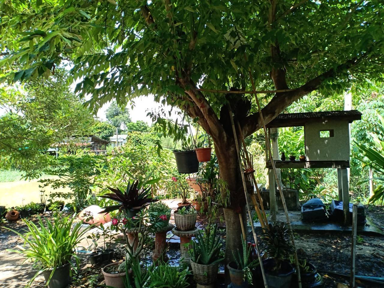 พัฒนาชุมชนจังหวัดฉะเชิงเทรา ประกวดและเผยแพร่ผลการดำเนินงานเครือข่ายองค์องความรู้ (Knowledge-Based OTOP) จังหวัด ประจำปี 2564 ภาคกลาง 18 จังหวัด ผ่านระบบออนไลน์ (Zoom Cloud Meeting)