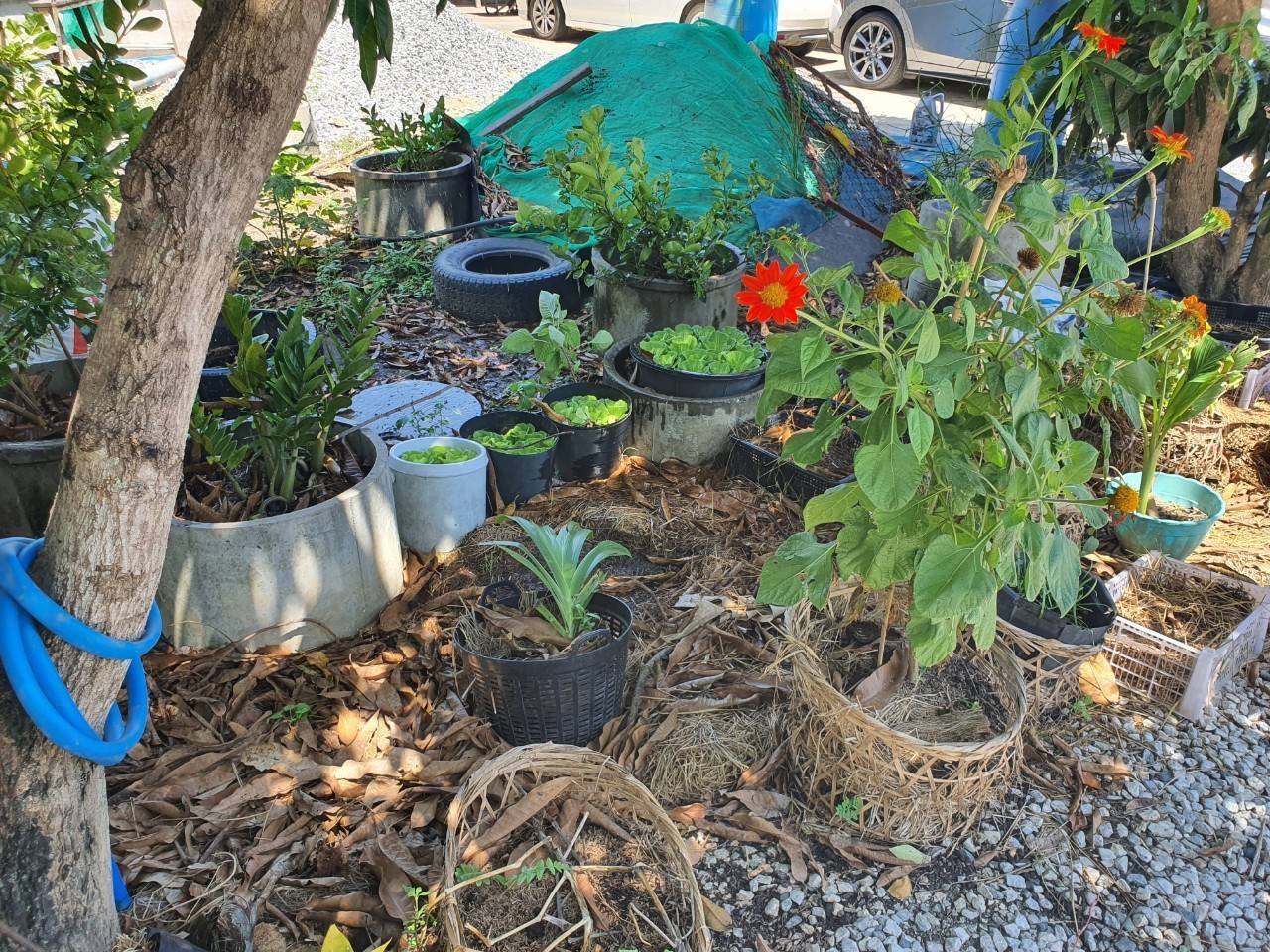 พัฒนาชุมชนจังหวัดฉะเชิงเทรา ประกวดและเผยแพร่ผลการดำเนินงานเครือข่ายองค์องความรู้ (Knowledge-Based OTOP) จังหวัด ประจำปี 2564 ภาคกลาง 18 จังหวัด ผ่านระบบออนไลน์ (Zoom Cloud Meeting)