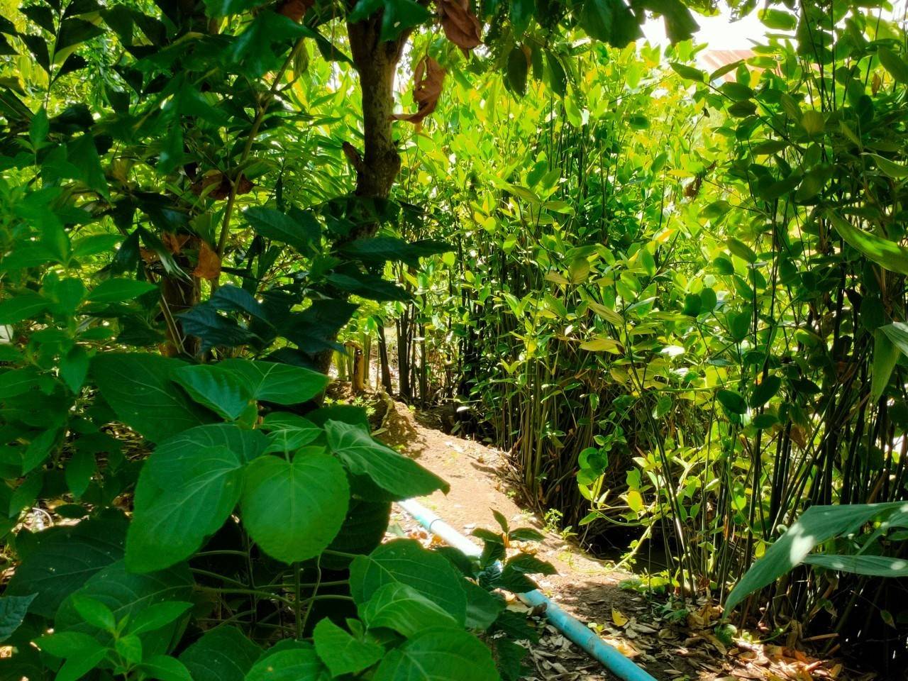 พัฒนาชุมชนจังหวัดฉะเชิงเทรา ประกวดและเผยแพร่ผลการดำเนินงานเครือข่ายองค์องความรู้ (Knowledge-Based OTOP) จังหวัด ประจำปี 2564 ภาคกลาง 18 จังหวัด ผ่านระบบออนไลน์ (Zoom Cloud Meeting)