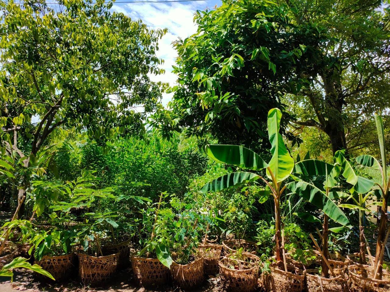 พัฒนาชุมชนจังหวัดฉะเชิงเทรา ประกวดและเผยแพร่ผลการดำเนินงานเครือข่ายองค์องความรู้ (Knowledge-Based OTOP) จังหวัด ประจำปี 2564 ภาคกลาง 18 จังหวัด ผ่านระบบออนไลน์ (Zoom Cloud Meeting)