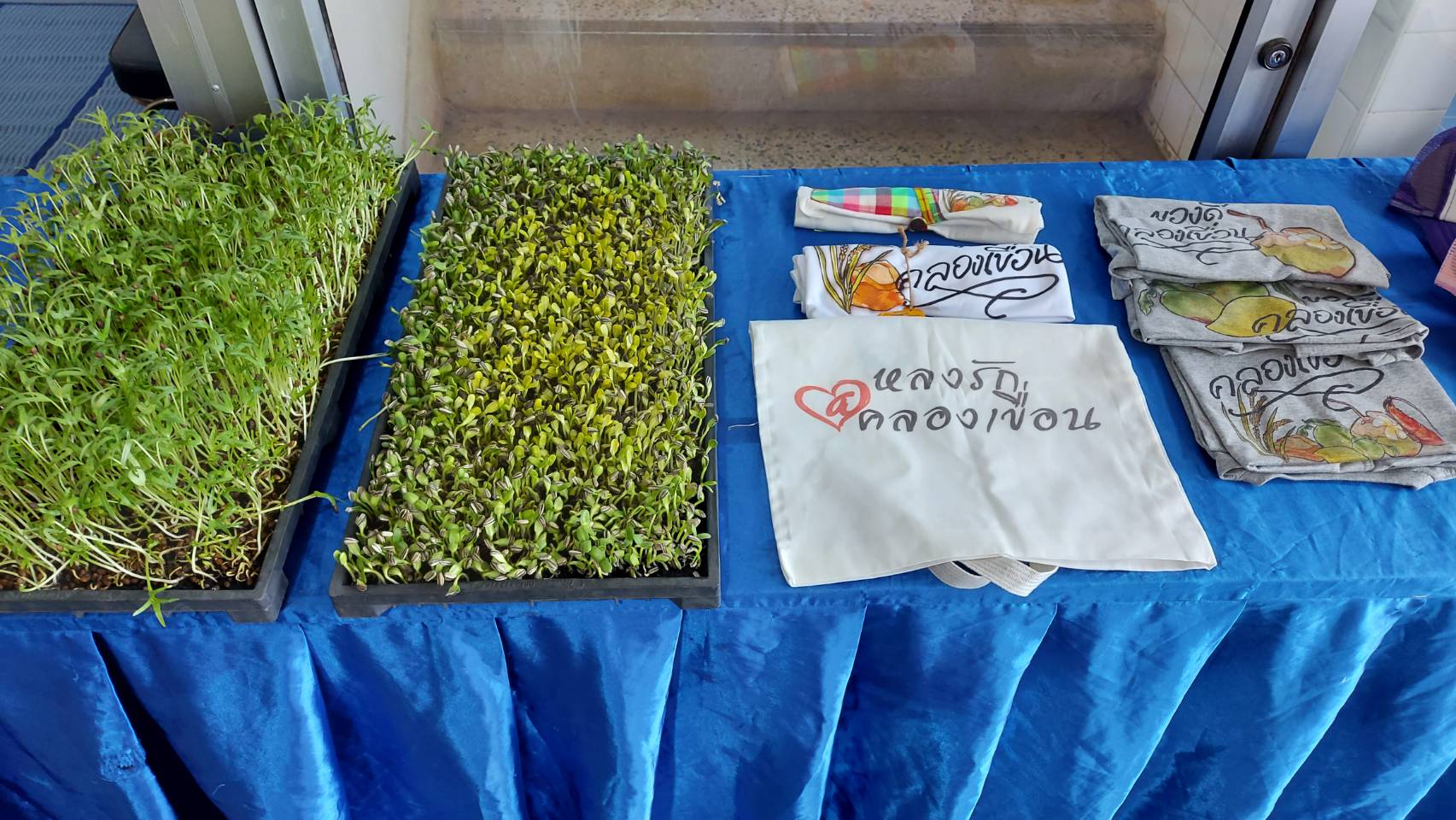 พัฒนาชุมชนจังหวัดฉะเชิงเทรา  ร่วมกิจกรรมการประกวดการจัดทำสารสนเทศตำบลต้นแบบเพื่อการพัฒนาคุณภาพชีวิต ระดับเขตตรวจราชการ ประจำปี 2564 ผ่านระบบออนไลน์ (Zoom Cloud Meeting)