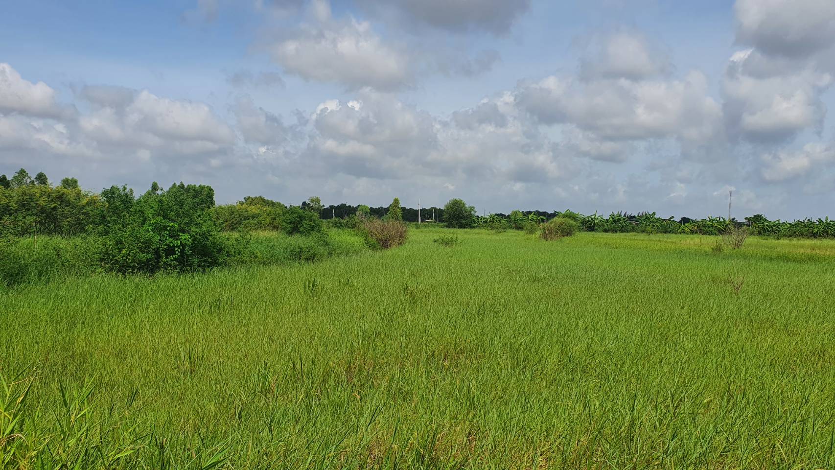พัฒนาชุมชนจังหวัดฉะเชิงเทรา ดำเนินงานโครงการพัฒนาพื้นที่ต้นแบบการพัฒนาคุณภาพชีวิตตามหลักทฤษฎีใหม่ ประยุกต์สู่ “โคก หนอง นา พช.”  @ฉะเชิงเทรา