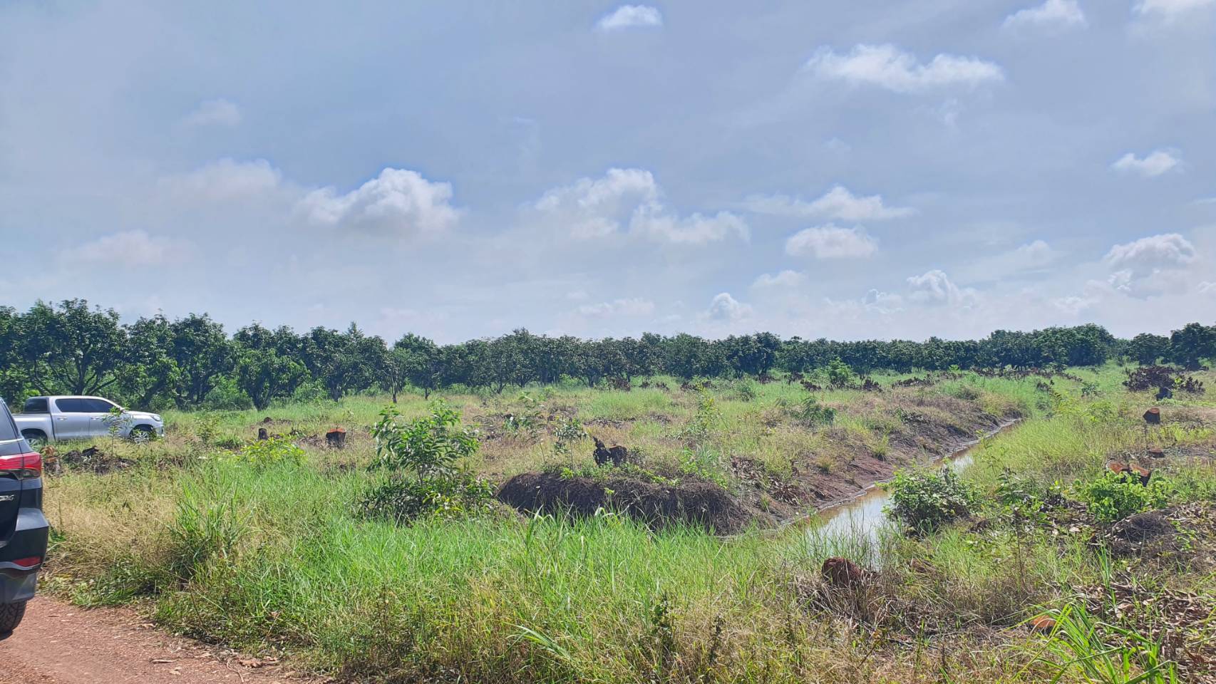 พัฒนาชุมชนจังหวัดฉะเชิงเทรา ดำเนินงานโครงการพัฒนาพื้นที่ต้นแบบการพัฒนาคุณภาพชีวิตตามหลักทฤษฎีใหม่ ประยุกต์สู่ “โคก หนอง นา พช.”  @ฉะเชิงเทรา