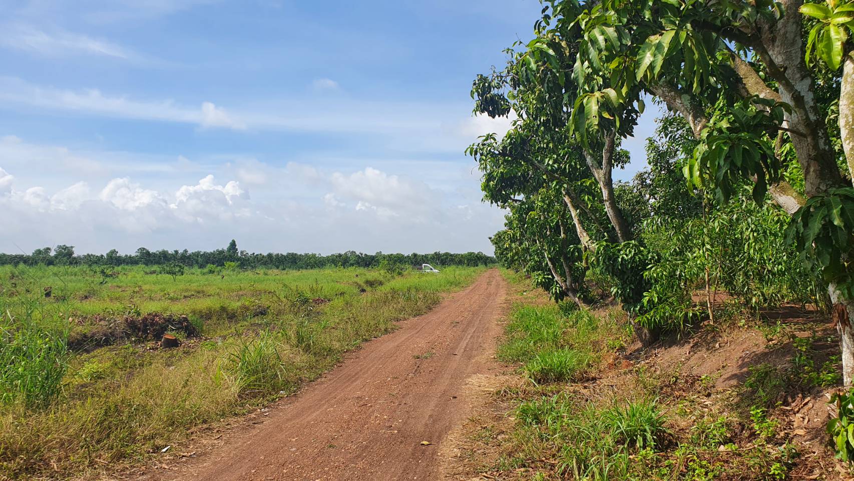 พัฒนาชุมชนจังหวัดฉะเชิงเทรา ดำเนินงานโครงการพัฒนาพื้นที่ต้นแบบการพัฒนาคุณภาพชีวิตตามหลักทฤษฎีใหม่ ประยุกต์สู่ “โคก หนอง นา พช.”  @ฉะเชิงเทรา