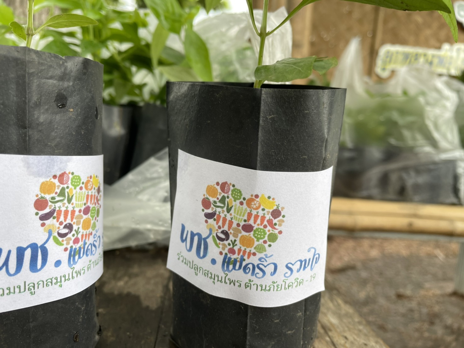 พัฒนาชุมชนจังหวัดฉะเชิงเทรา เสริมพลังผู้นำการเปลี่ยนแปลง จัดตั้งศูนย์แบ่งปัน 1 ตำบลต้นแบบ