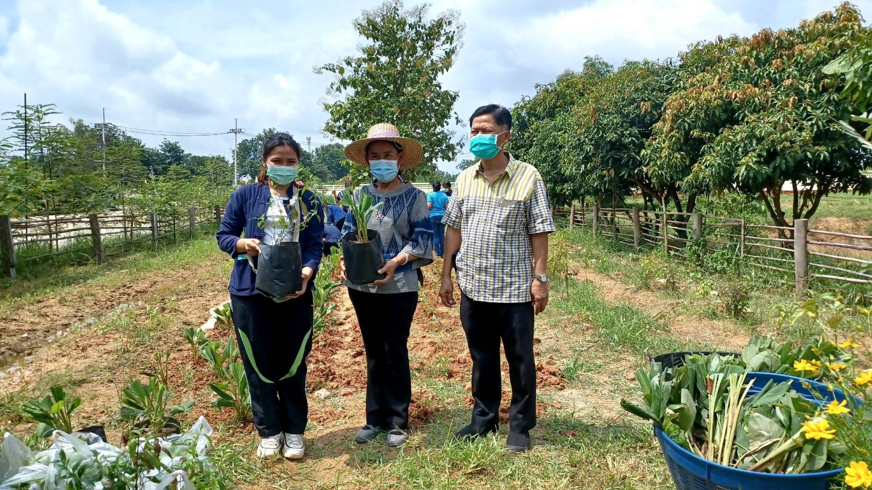 พช. แปดริ้วรวมใจ ร่วมปลูกสมุนไพรต้านภัยโควิด – 19