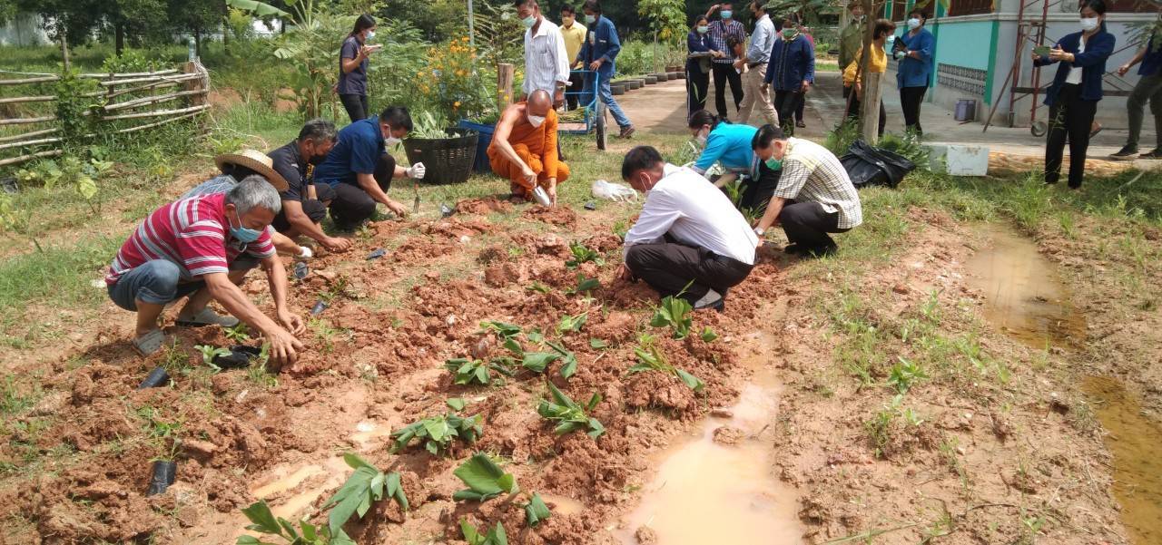 พช. แปดริ้วรวมใจ ร่วมปลูกสมุนไพรต้านภัยโควิด – 19