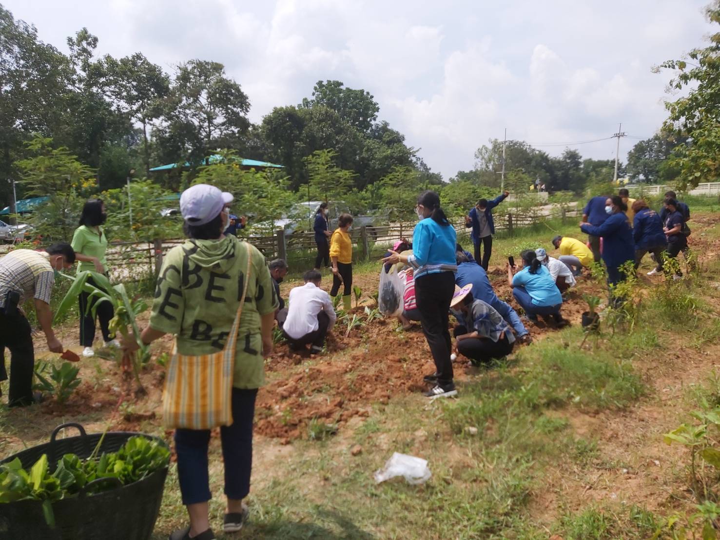 พช. แปดริ้วรวมใจ ร่วมปลูกสมุนไพรต้านภัยโควิด – 19