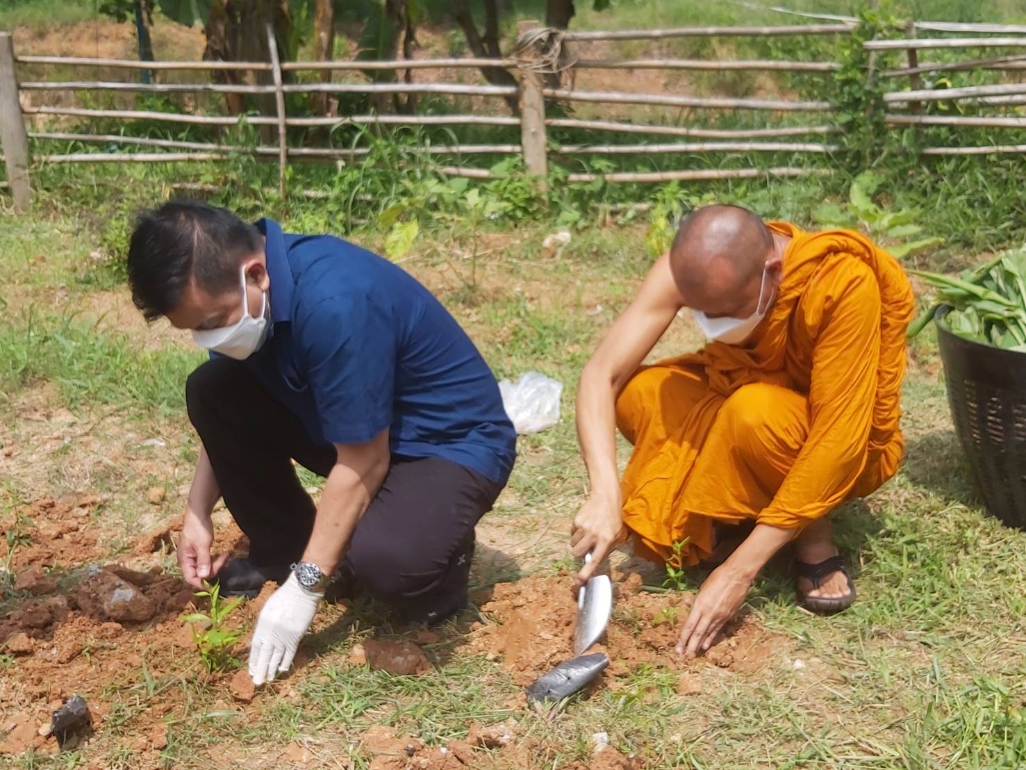 พช. แปดริ้วรวมใจ ร่วมปลูกสมุนไพรต้านภัยโควิด – 19