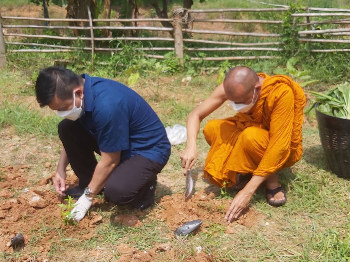 พช. แปดริ้วรวมใจ ร่วมปลูกสมุนไพรต้านภัยโควิด – 19