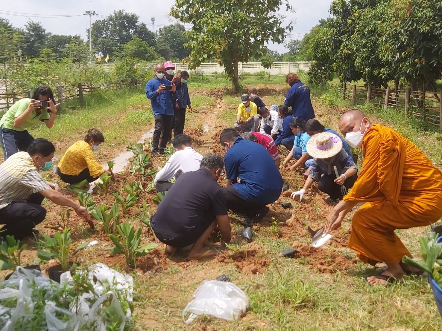 พช. แปดริ้วรวมใจ ร่วมปลูกสมุนไพรต้านภัยโควิด – 19