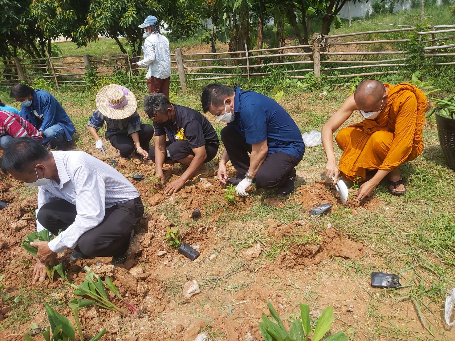 พช. แปดริ้วรวมใจ ร่วมปลูกสมุนไพรต้านภัยโควิด – 19