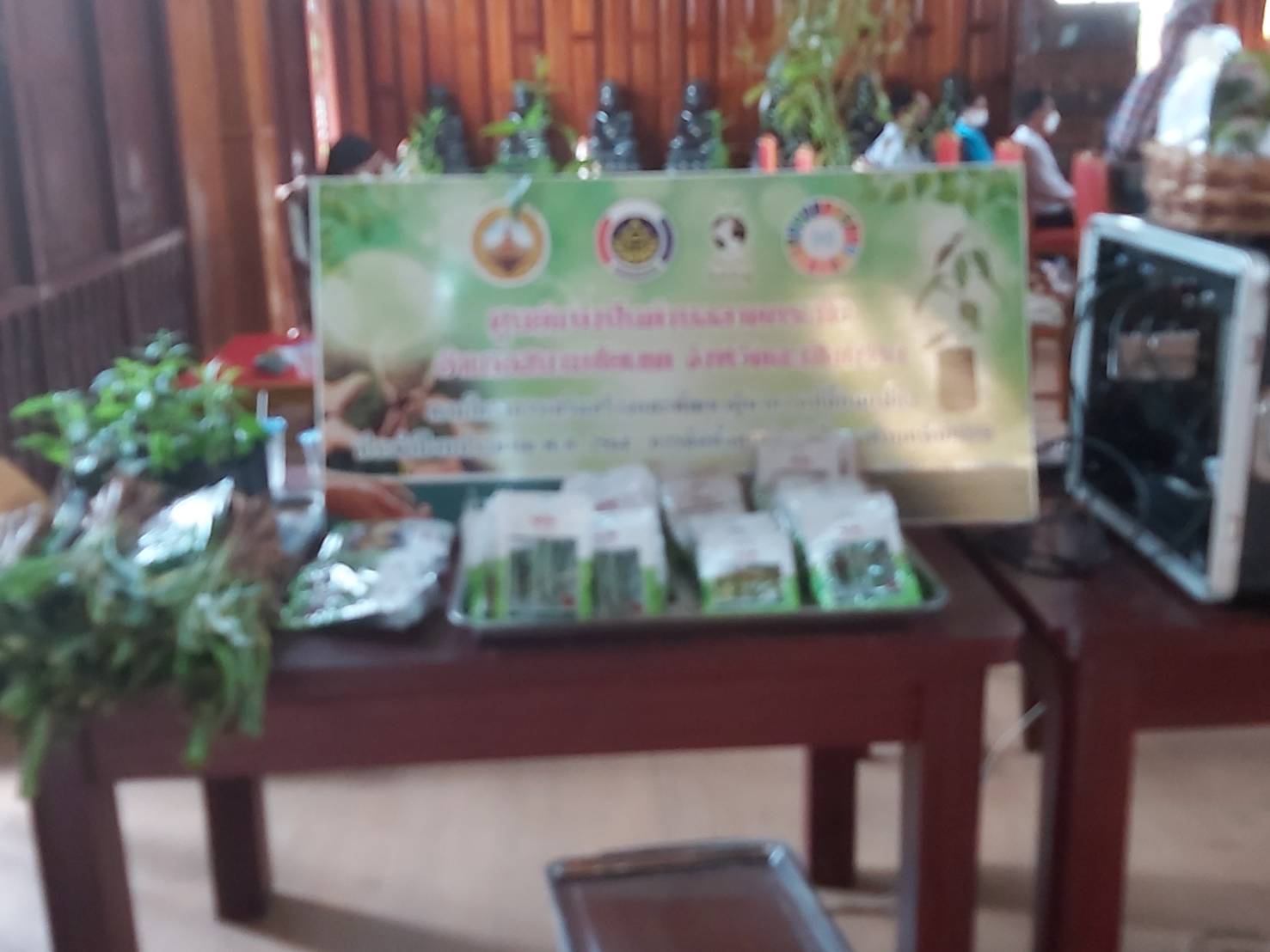 พช. แปดริ้วรวมใจ ร่วมปลูกสมุนไพรต้านภัยโควิด – 19