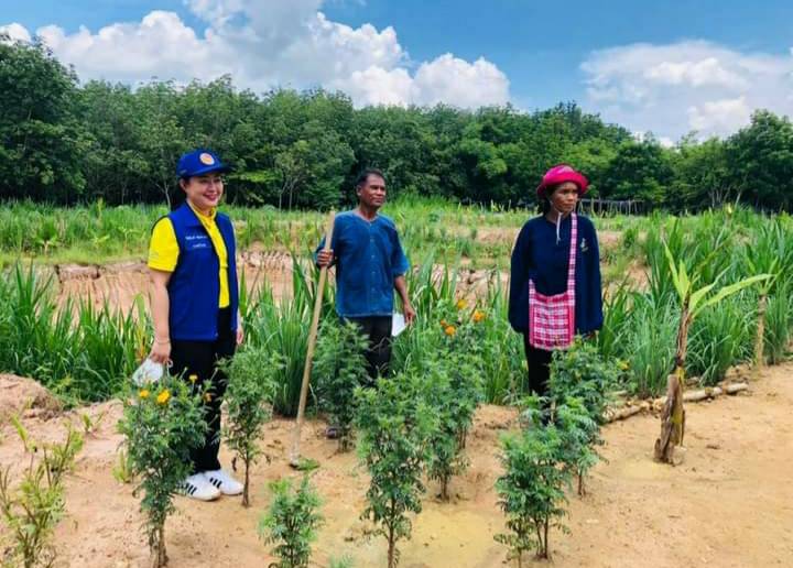 โคก หนอง นา พช. ทางเลือกสู่ทางรอด อาหารและยาพอเพียง คน-ช้างป่าอยู่ร่วมกันอย่างสมดุล