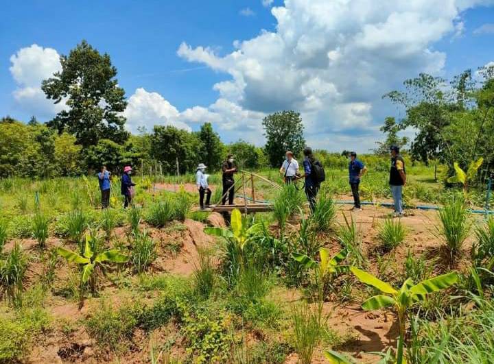 โคก หนอง นา พช. ทางเลือกสู่ทางรอด อาหารและยาพอเพียง คน-ช้างป่าอยู่ร่วมกันอย่างสมดุล