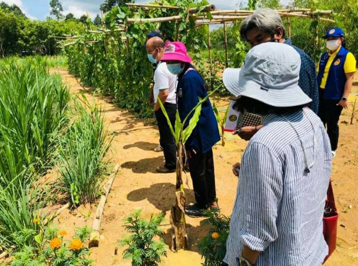 โคก หนอง นา พช. ทางเลือกสู่ทางรอด อาหารและยาพอเพียง คน-ช้างป่าอยู่ร่วมกันอย่างสมดุล