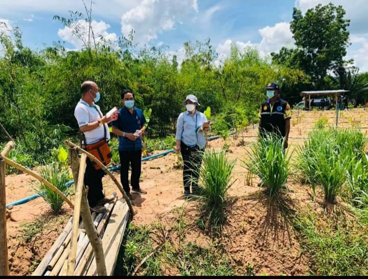 โคก หนอง นา พช. ทางเลือกสู่ทางรอด อาหารและยาพอเพียง คน-ช้างป่าอยู่ร่วมกันอย่างสมดุล