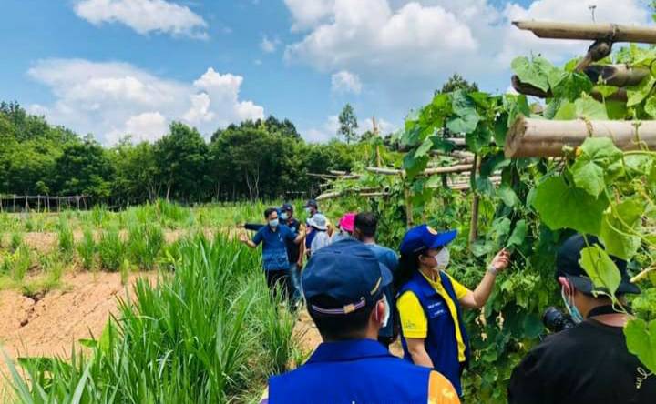 โคก หนอง นา พช. ทางเลือกสู่ทางรอด อาหารและยาพอเพียง คน-ช้างป่าอยู่ร่วมกันอย่างสมดุล
