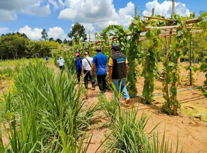 โคก หนอง นา พช. ทางเลือกสู่ทางรอด อาหารและยาพอเพียง คน-ช้างป่าอยู่ร่วมกันอย่างสมดุล
