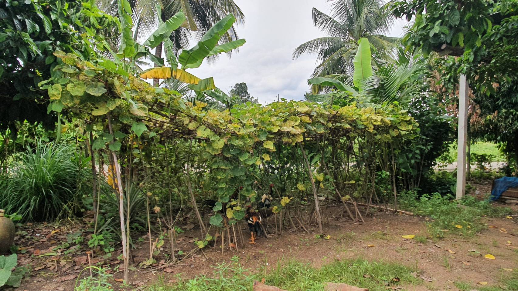 พัฒนาชุมชนจังหวัด ดำเนินงานโครงการ 9 ; 10 ปฏิบัติบูชา “สืบสาน รักษา ต่อยอด” เพื่อพัฒนาชุมชน กิจกรรมถอดบทเรียนความสำเร็จหมู่บ้านต้นแบบสนับสนุนการพัฒนาหมู่บ้าน