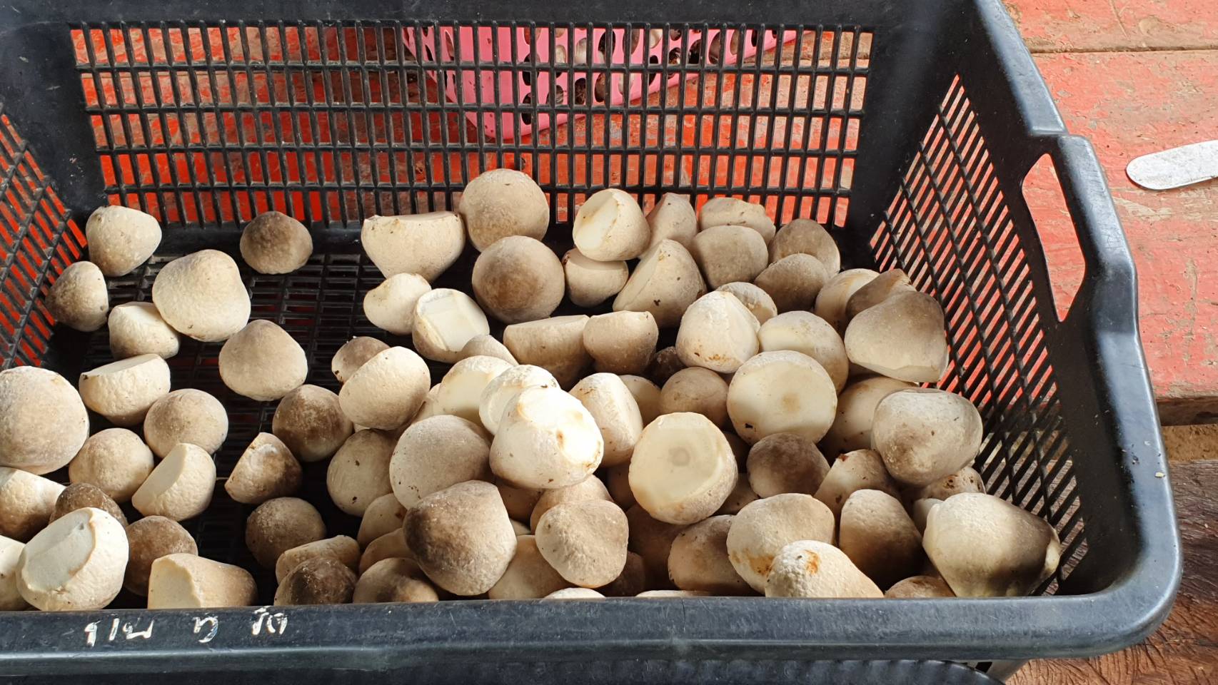 พัฒนาชุมชนจังหวัด ดำเนินงานโครงการ 9 ; 10 ปฏิบัติบูชา “สืบสาน รักษา ต่อยอด” เพื่อพัฒนาชุมชน กิจกรรมถอดบทเรียนความสำเร็จหมู่บ้านต้นแบบสนับสนุนการพัฒนาหมู่บ้าน