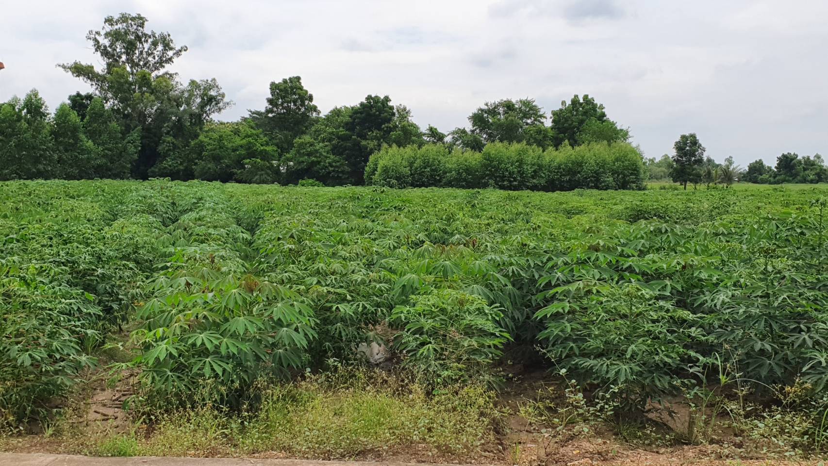 พัฒนาชุมชนจังหวัด ดำเนินงานโครงการ 9 ; 10 ปฏิบัติบูชา “สืบสาน รักษา ต่อยอด” เพื่อพัฒนาชุมชน กิจกรรมถอดบทเรียนความสำเร็จหมู่บ้านต้นแบบสนับสนุนการพัฒนาหมู่บ้าน