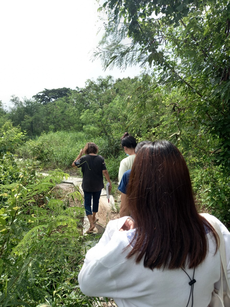 พัฒนาชุมชนจังหวัดฉะเชิงเทรา ติดตามหนี้กองทุนพัฒนาบทบาทสตรี