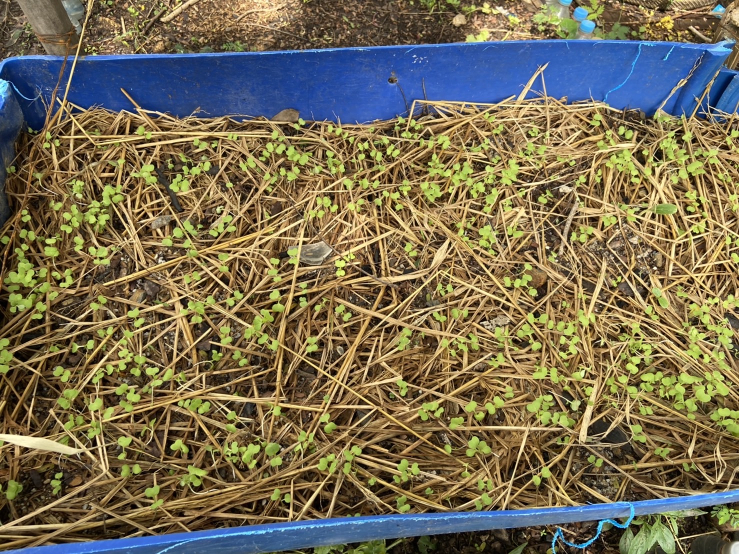 พัฒนาชุมชนจังหวัดฉะเชิงเทรา สนับสนุนกิจกรรมถอดบทเรียนผู้นำการเปลี่ยนแปลงดีเด่น โครงการเสริมสร้างและพัฒนาผู้นำการเปลี่ยนแปลง ตำบลเสม็ดใต้