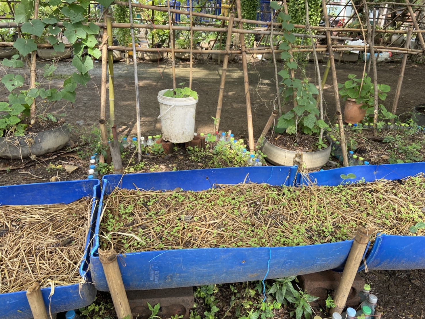 พัฒนาชุมชนจังหวัดฉะเชิงเทรา สนับสนุนกิจกรรมถอดบทเรียนผู้นำการเปลี่ยนแปลงดีเด่น โครงการเสริมสร้างและพัฒนาผู้นำการเปลี่ยนแปลง ตำบลเสม็ดใต้