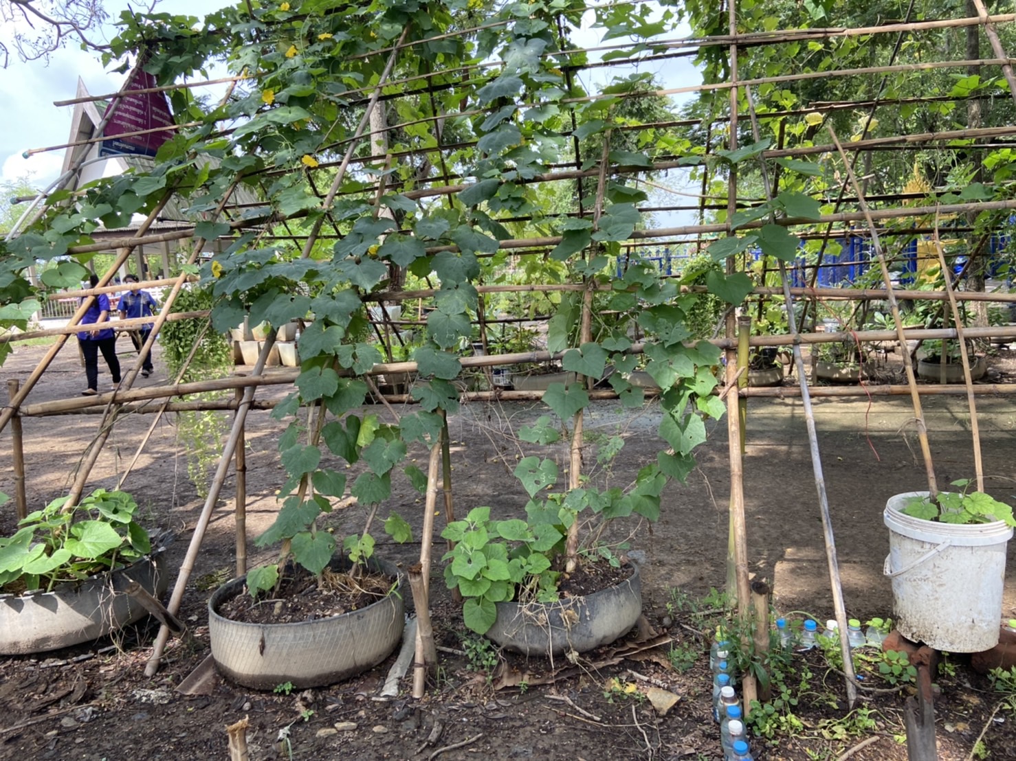 พัฒนาชุมชนจังหวัดฉะเชิงเทรา สนับสนุนกิจกรรมถอดบทเรียนผู้นำการเปลี่ยนแปลงดีเด่น โครงการเสริมสร้างและพัฒนาผู้นำการเปลี่ยนแปลง ตำบลเสม็ดใต้