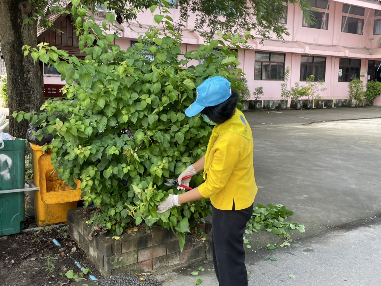 ?สพอ.บางน้ำเปรี้ยว ร่วมกิจกรรมจิตอาสาปรับปรุงภูมิทัศน์ที่ว่าการอำเภอบางน้ำเปรี้ยว