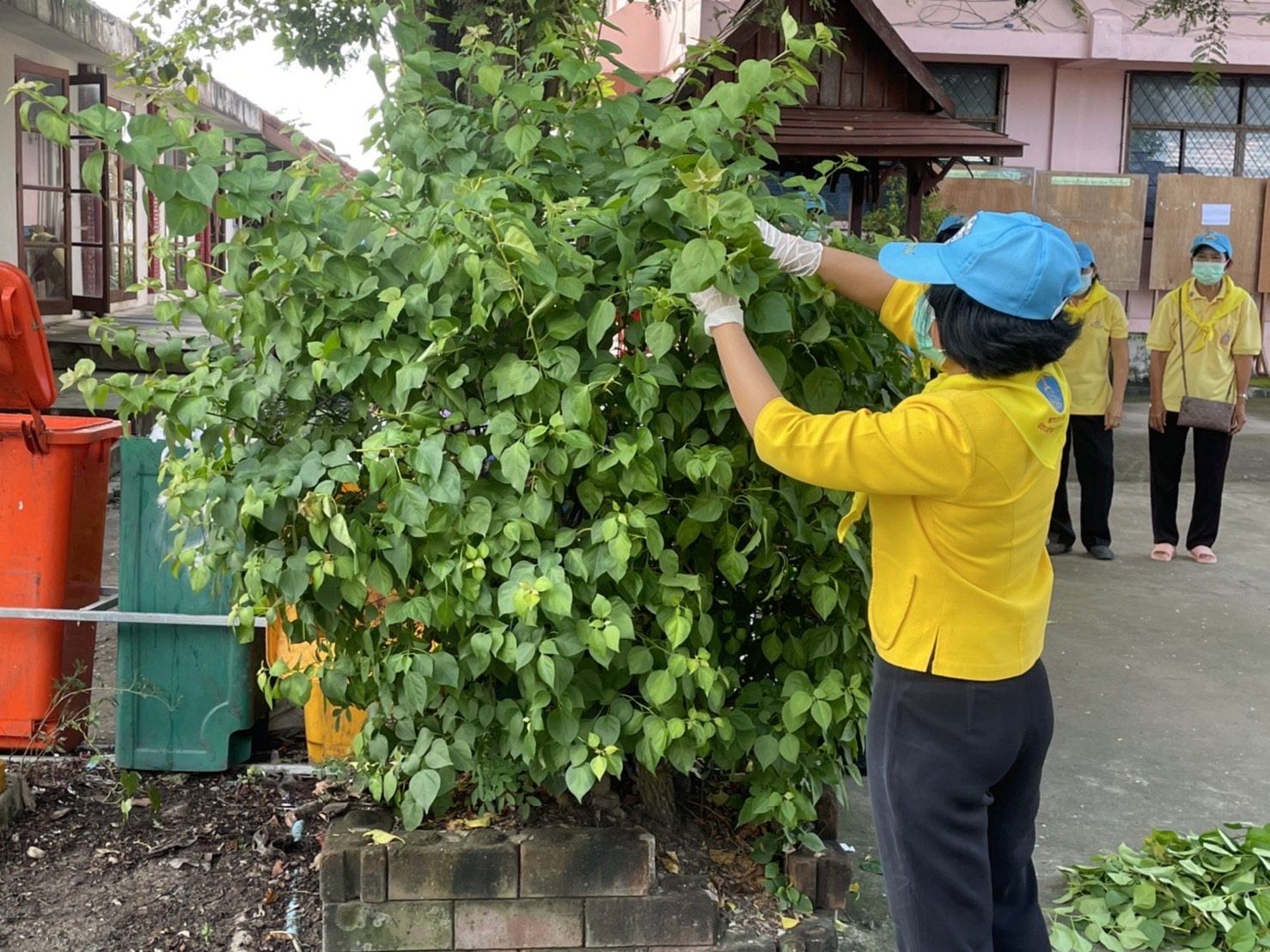 ?สพอ.บางน้ำเปรี้ยว ร่วมกิจกรรมจิตอาสาปรับปรุงภูมิทัศน์ที่ว่าการอำเภอบางน้ำเปรี้ยว