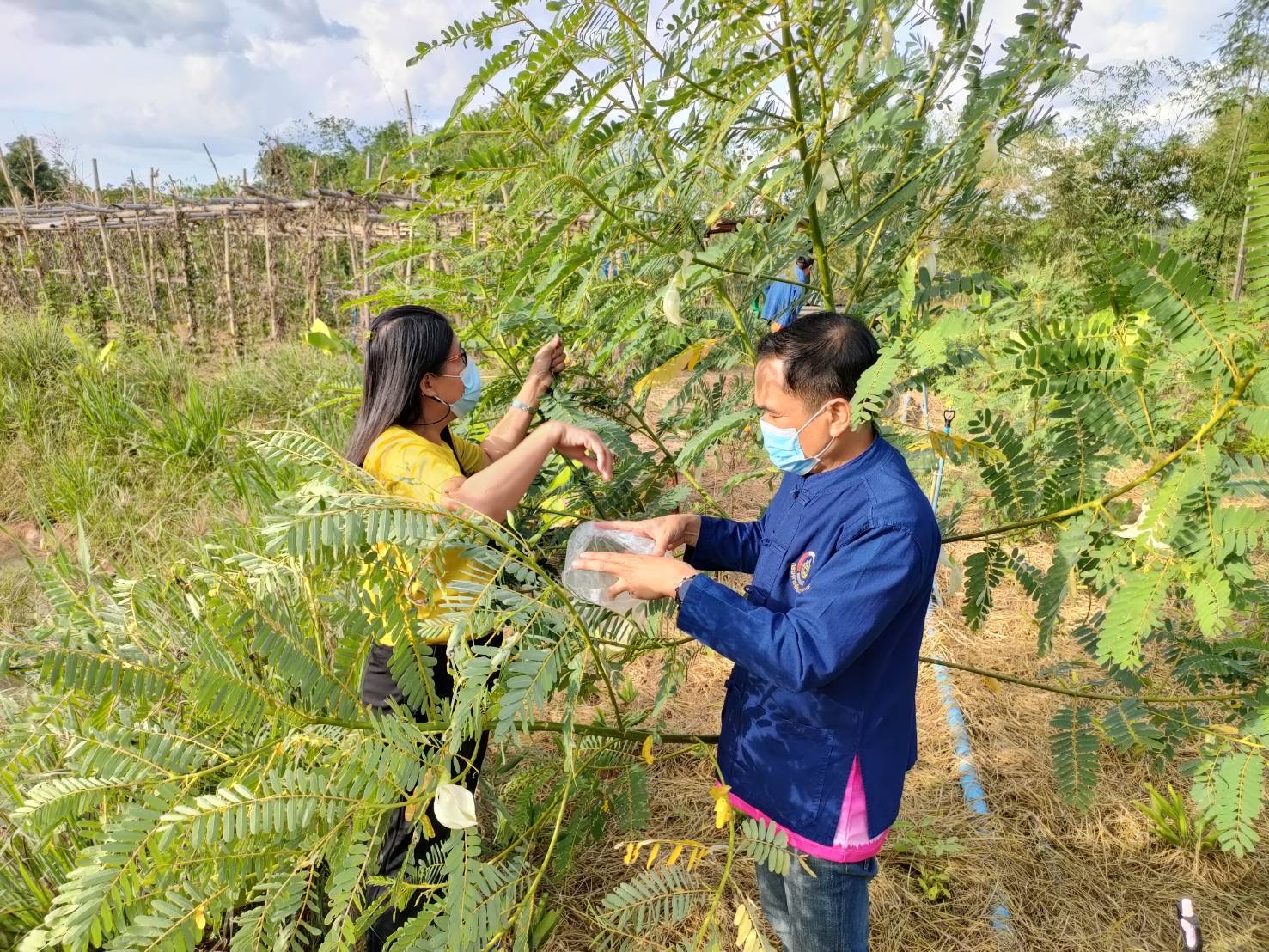“ชื่นชม ความสำเร็จ โคก หนอง นา  แหล่งอาหาร แหล่งสมุนไพร  คนกับช้างอยู่ร่วมกันอย่างสมดุล”