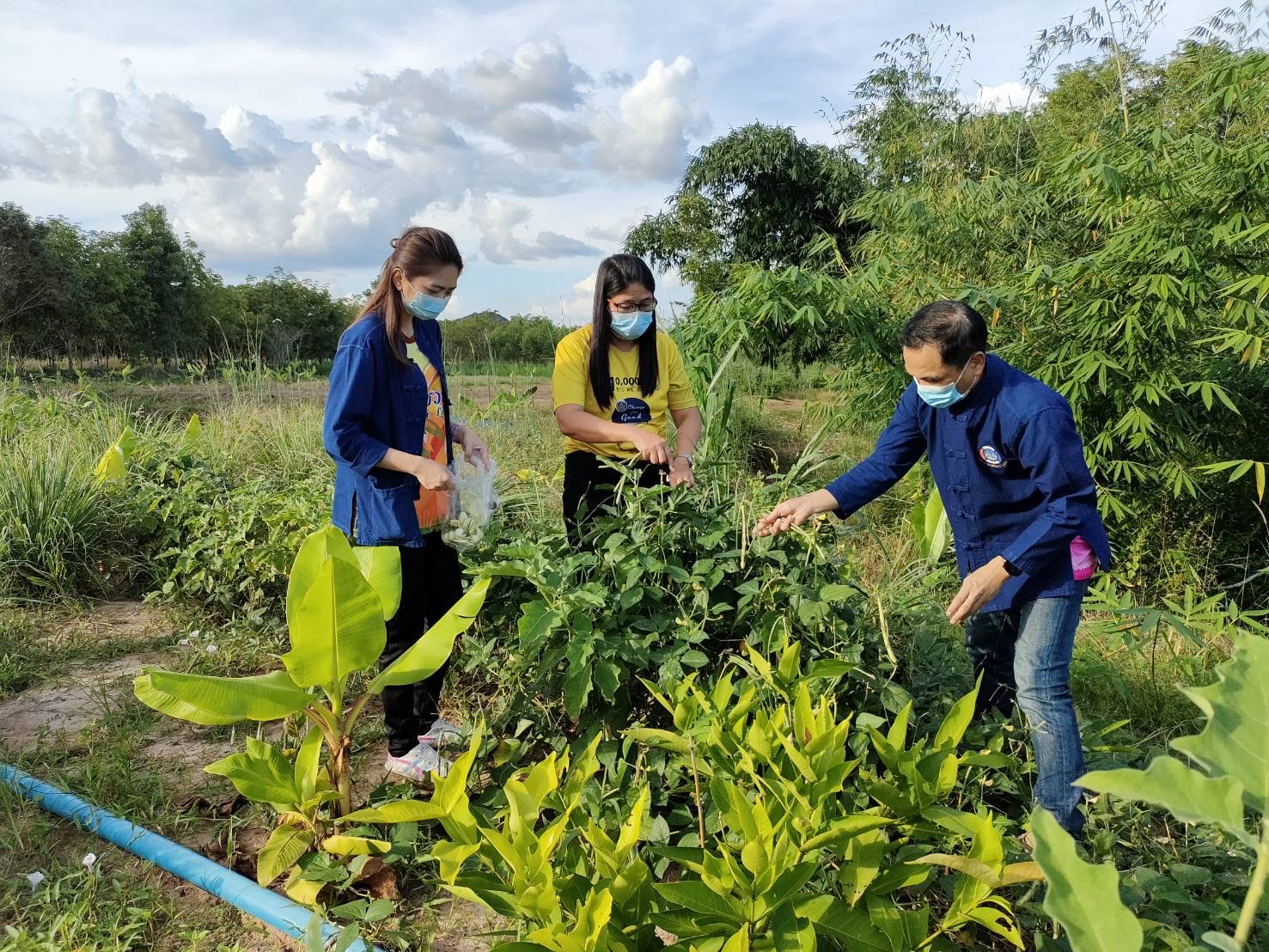 “ชื่นชม ความสำเร็จ โคก หนอง นา  แหล่งอาหาร แหล่งสมุนไพร  คนกับช้างอยู่ร่วมกันอย่างสมดุล”