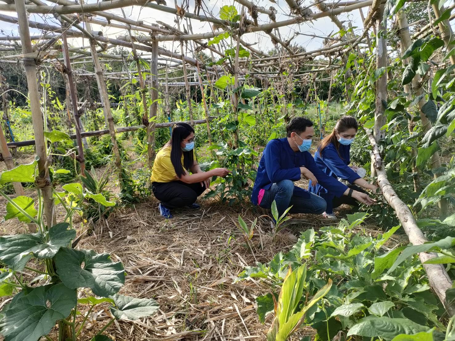 “ชื่นชม ความสำเร็จ โคก หนอง นา  แหล่งอาหาร แหล่งสมุนไพร  คนกับช้างอยู่ร่วมกันอย่างสมดุล”