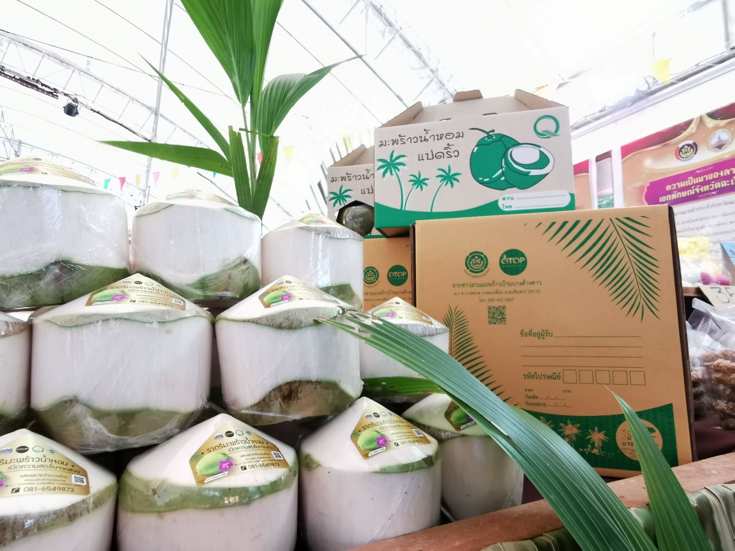 “ฉะเชิงเทรา ร่วมส่งเสริม และรณรงค์การสวมใส่ผ้าไทย ?“ผ้าไทย ใส่ให้สนุก”