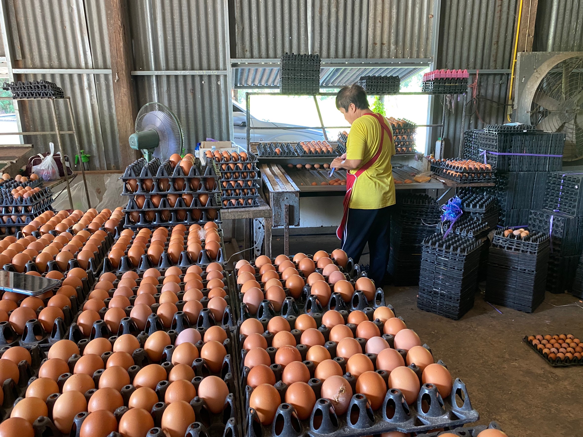 ? สพอ.เมืองฉะเชิงเทรา ลงพื้นที่ ให้บริการผู้ผลิต ผู้ประกอบการ ในการลงทะเบียน OTOP  อำเภอเมืองฉะเชิงเทรา จังหวัดฉะเชิงเทรา