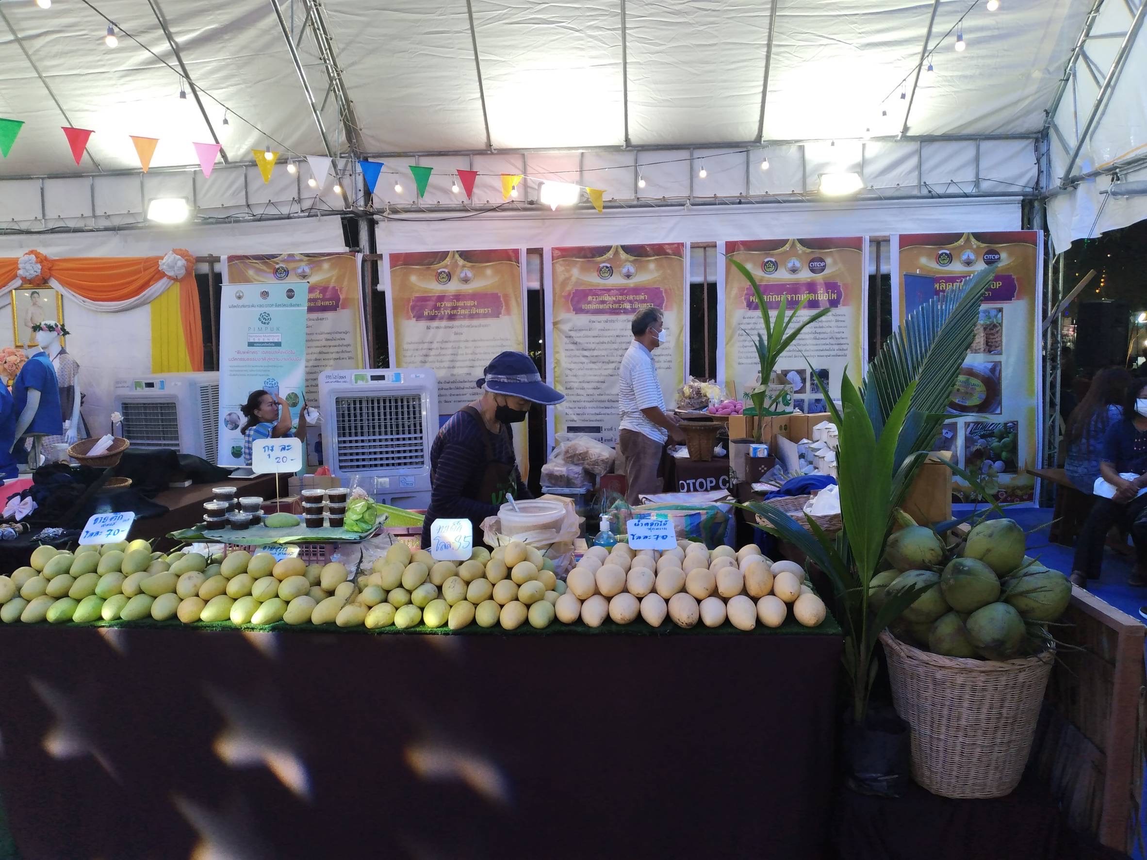 ฉะเชิงเทรา ส่งเสริมและรณรงค์การสวมใส่ผ้าไทย “ผ้าไทย ใส่ให้สนุก” ??